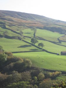 Long, lazy shadows on Kisdon Hill in late summer.