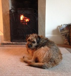 Its hard to tear myself away from this lovely warm fire but I must check what my well behaved owner are up to?